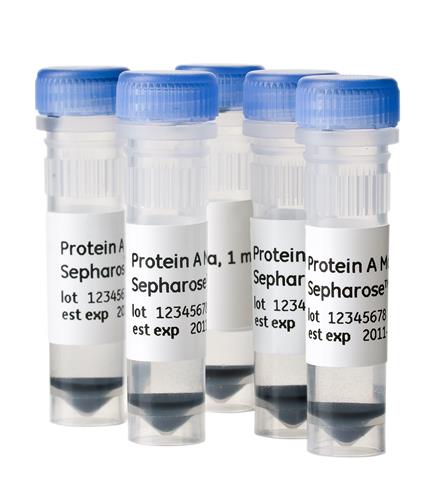 28967062 | PROTEIN A MAG SEPHAROSE XTRA 5X1ML