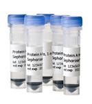 28967062 | PROTEIN A MAG SEPHAROSE XTRA 5X1ML