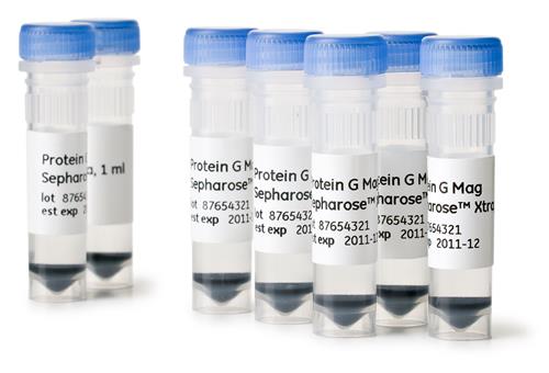 28967066 | PROTEIN G MAG SEPHAROSE XTRA 2X1ML