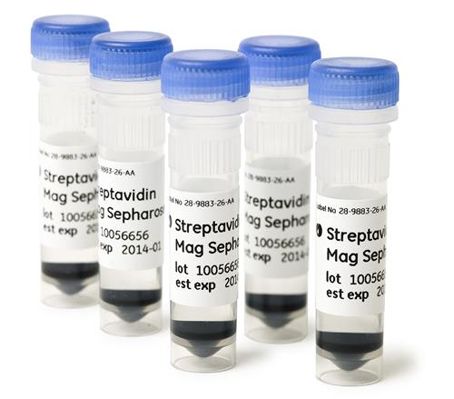 28985799 | Streptavidin Mag Sepharose 5 x 1 ml