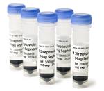 28985799 | Streptavidin Mag Sepharose 5 x 1 ml