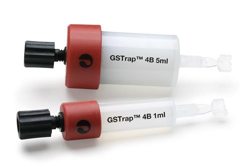 29048609 | GSTRAP 4B, 1 X 1 ML