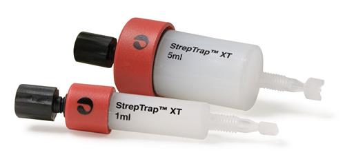 29401317 | StrepTrap XT 1x1 ml