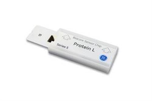 29205138 | Series S Sensor Chip Protein L 1 p