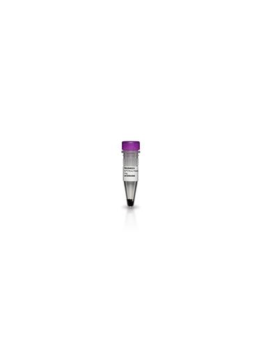 PA15401 | CYPHER 5E NHS ESTER 1MG