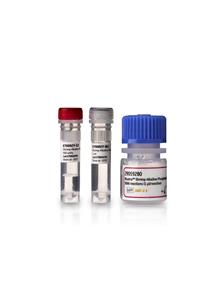 E70092Y | SHRIMP ALKALINE PHOSPHATASE,500U