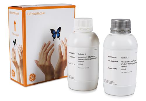 RPN3244 | ECL Start Western Blotting Detection Reagent - 200ml