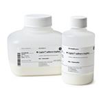 17371502 | Capto adhere ImpRes, 100 ml