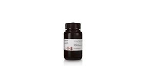 RPN3682 | CDP-STAR