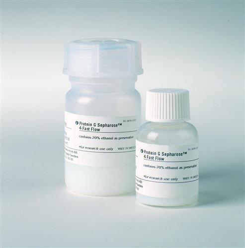 17061802 | PROTEIN G SEPHAROSE 4 FF, 25 ML