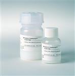 17061802 | PROTEIN G SEPHAROSE 4 FF, 25 ML