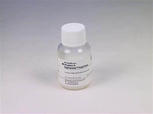 17127903 | R-PROTEIN A SEPHAROSE FF, 200 ML