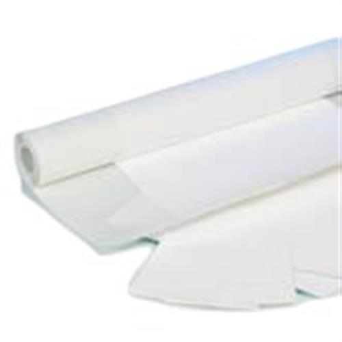 60315 | Biodyne C 7x8.5cm sheet .45um 10/PK