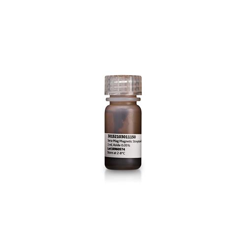 66152104010150 | SpeedBead Magnetic Streptavidin Coated particles