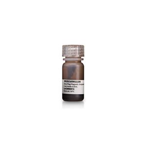 66152104011150 | SpeedBead Magnetic Streptavidin Coated particles 1
