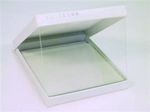 SE6102 | GLASS PLATES 18X16CM (PKG 2)