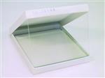 SE6102 | GLASS PLATES 18X16CM (PKG 2)