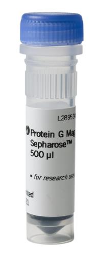 28944008 | Protein G Mag Sepharose 1 x 500ul