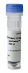 28944008 | Protein G Mag Sepharose 1 x 500ul
