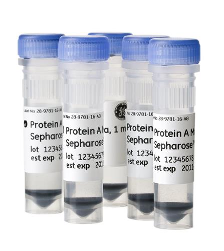 28967062 | PROTEIN A MAG SEPHAROSE XTRA 5X1ML