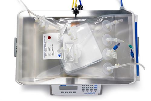 CB0010L11-02 | Cellbag. 10L. BC11. DO