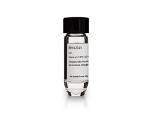 RPN1231-2ML | STREPTAVIDIN-HRP CONJUGATE