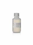 RPN5661 | CYDYE POST-LABELLING REACTIVE