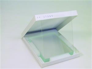 SE202P-10 | RECTGLR.GLASS PLTS 10X8CM (PKG/10)
