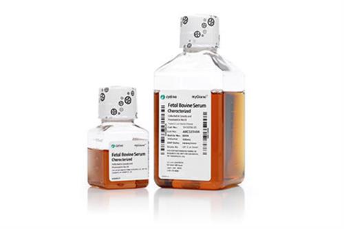 SH30396.02 | FBS Characterized (CA), 100 mL