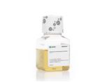 SV30078.01 | AmphotericB Fungizone Sol, 50mL