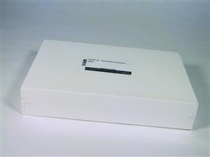 TE46 | BLOTTER PAPER,14.5x21.5CM (PKG/50)