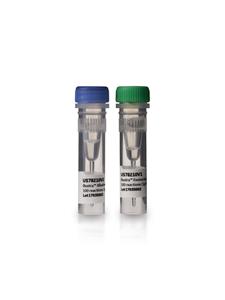 US78210 | ILLUSTRA EXOSTAR (100 RCN)    