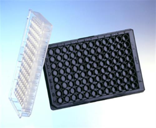 655209 | 96W Plate PP Flat Bottom Chimney Style Black