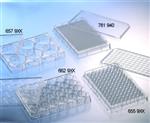 655936 | 96W CELLCOAT Poly L Lysine Plate PS Flat Bottom Ch