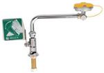 16D393 | Eye Face Wash Swing Away Deck