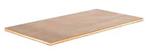 4KYZ4 | Workbench Top Wood 48x30 in Straight