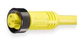 5AA37 | Cordset 3 Pin Receptacle Female