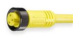 5AA37 | Cordset 3 Pin Receptacle Female