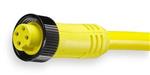 5AA44 | Cordset 4 Pin Receptacle Female