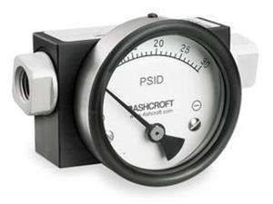 5LB60 | D0746 Pressure Gauge 0 to 30 psi