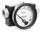 5LB60 | D0746 Pressure Gauge 0 to 30 psi
