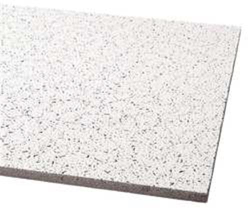 5NGJ1 | Ceiling Tile 48 in L 24 in W PK12