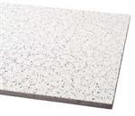 5NGJ1 | Ceiling Tile 48 in L 24 in W PK12