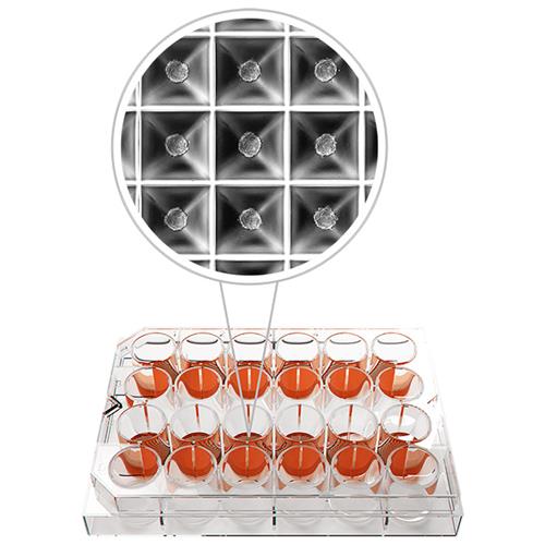 036140001 | Heidolph 3D Cell Culture Plates