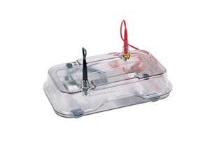 HE33B | HE33 Mini Horizontal Agarose Electrophoresis Unit (Basic Unit)