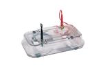 HE33 Mini Horizontal Agarose Electrophoresis Unit (Basic Unit)