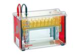 SE640 Wide-Mini Vertical Protein Electrophoresis Unit (Basic unit)