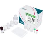 DENV Detect™ IgM Capture ELISA
