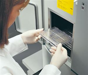 B1017-110 | PANEL RAPID NEG ID 3 20