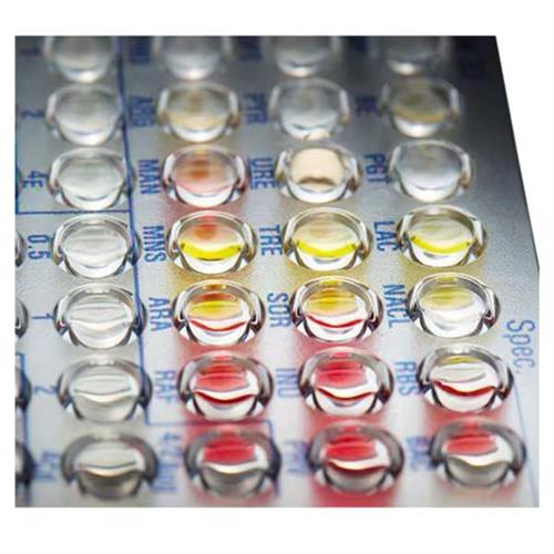 C42464 | PNL NEG MIC 56